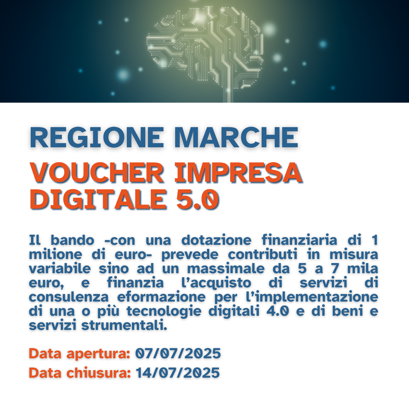 scheda voucher impresa digitale 5.0